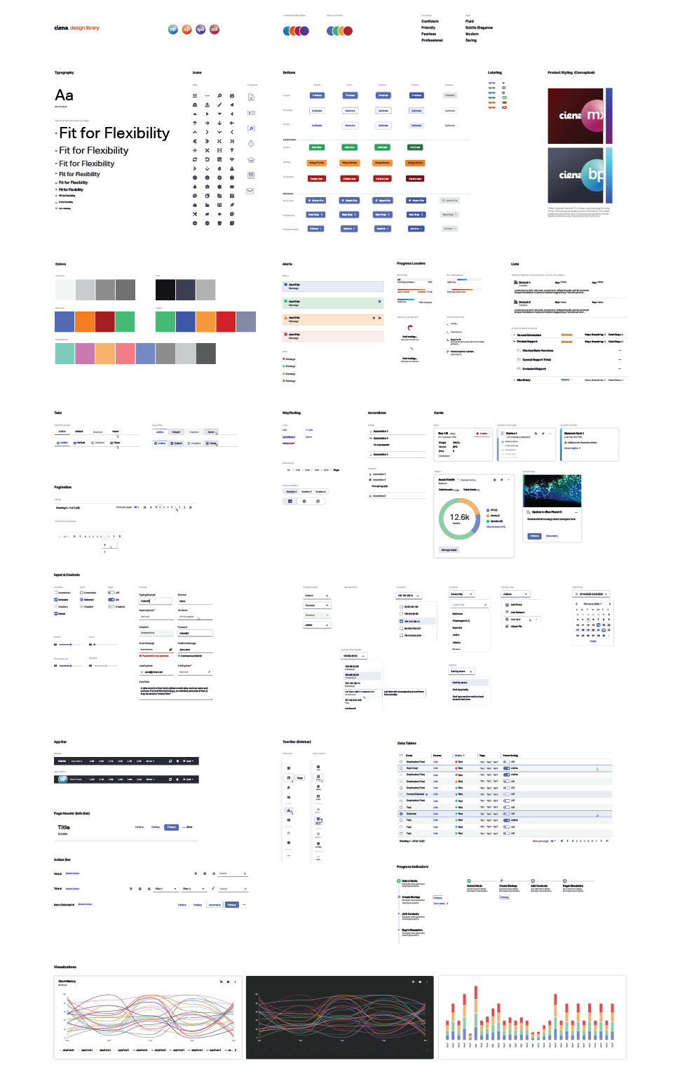 Ciena's design system