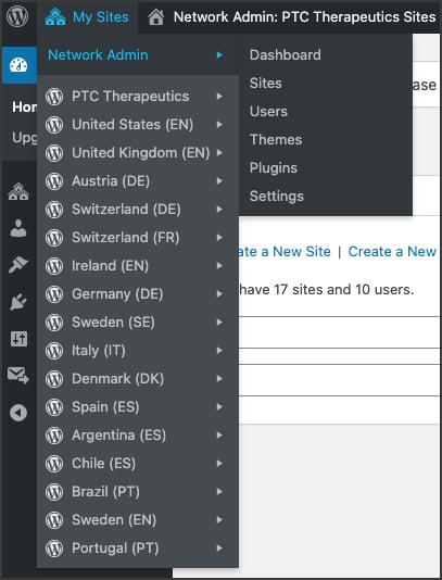 Backend view of WordPress Multisite